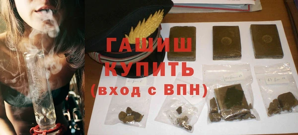 молекула духа Богданович