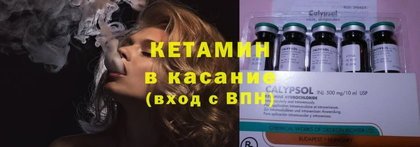 молекула духа Богданович