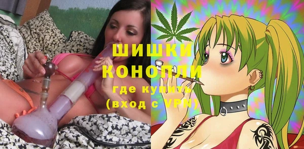 молекула духа Богданович