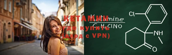 молекула духа Богданович