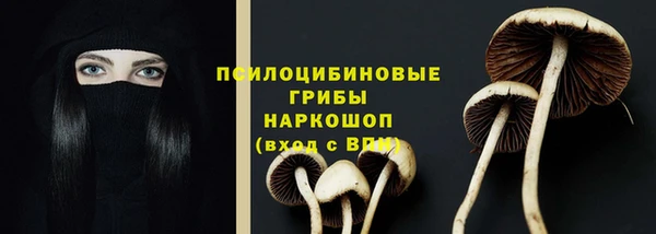 мяу мяу мука Богородск