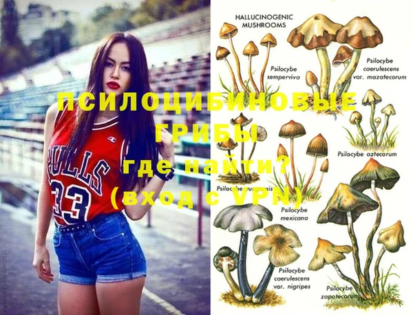 молекула духа Богданович