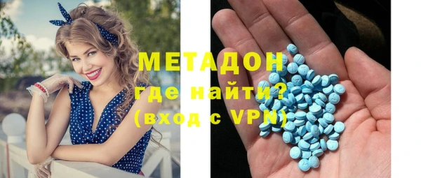 молекула духа Богданович
